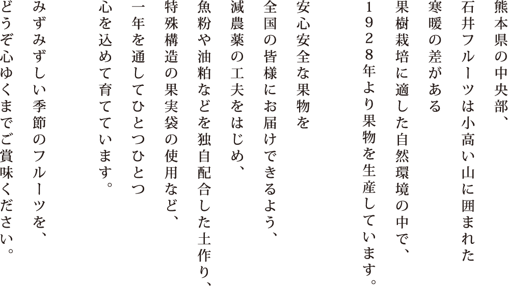 熊本県の中央部、石井フルーツは小高い山に囲まれた寒暖の差がある果樹栽培に適した自然環境の中で、1928年より果物を生産しています。安心安全な果物を全国の皆様にお届けできるよう、減農薬の工夫をはじめ、魚粉や油粕などを独自配合した土作り、特殊構造の果実袋の使用など、一年を通してひとつひとつ心を込めて育てています。みずみずしい季節のフルーツを、どうぞ心ゆくまでご賞味ください。