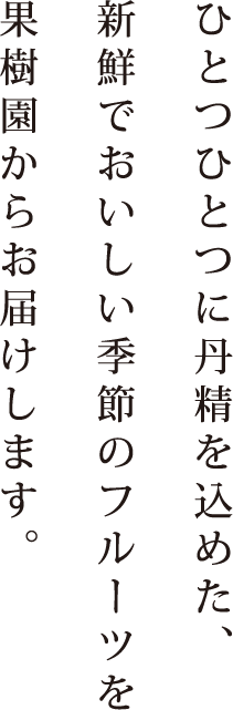 ひとつひとつに丹精を込めた、新鮮でおいしい季節のフルーツを果樹園からお届けします。